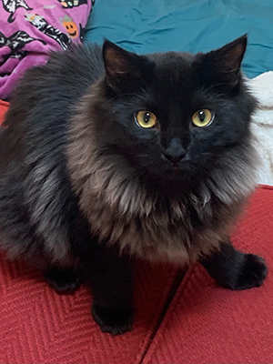 Dale (formerly Missy)