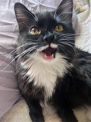 Kizzy (formerly Gracie Lou)
