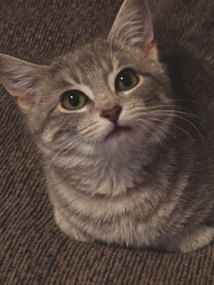 Lola