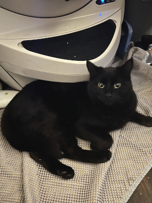 Jet