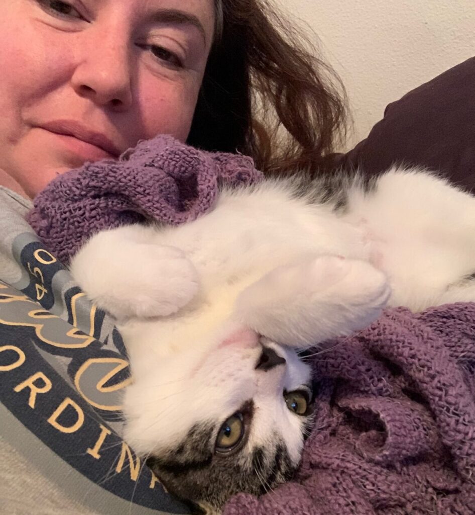 A mostly white tabby is sprawled on his back while he snuggles with his foster mom.