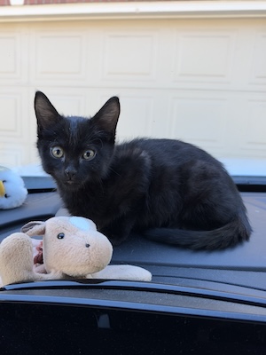 Castiel
